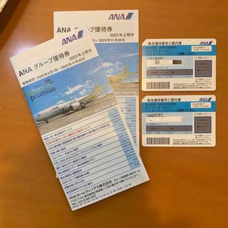 エーエヌエー(ゼンニッポンクウユ)(ANA(全日本空輸))のANA株主優待券２枚(その他)