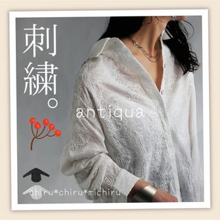 アンティカ(antiqua)の美品 antiqua ペイズリー刺繍ブラウス(シャツ/ブラウス(長袖/七分))