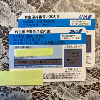 エーエヌエー(ゼンニッポンクウユ)(ANA(全日本空輸))のANA株主優待券 ２枚セット(航空券)