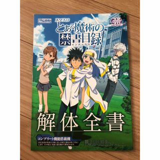 とある魔術の禁書目録 解体全書 (その他)