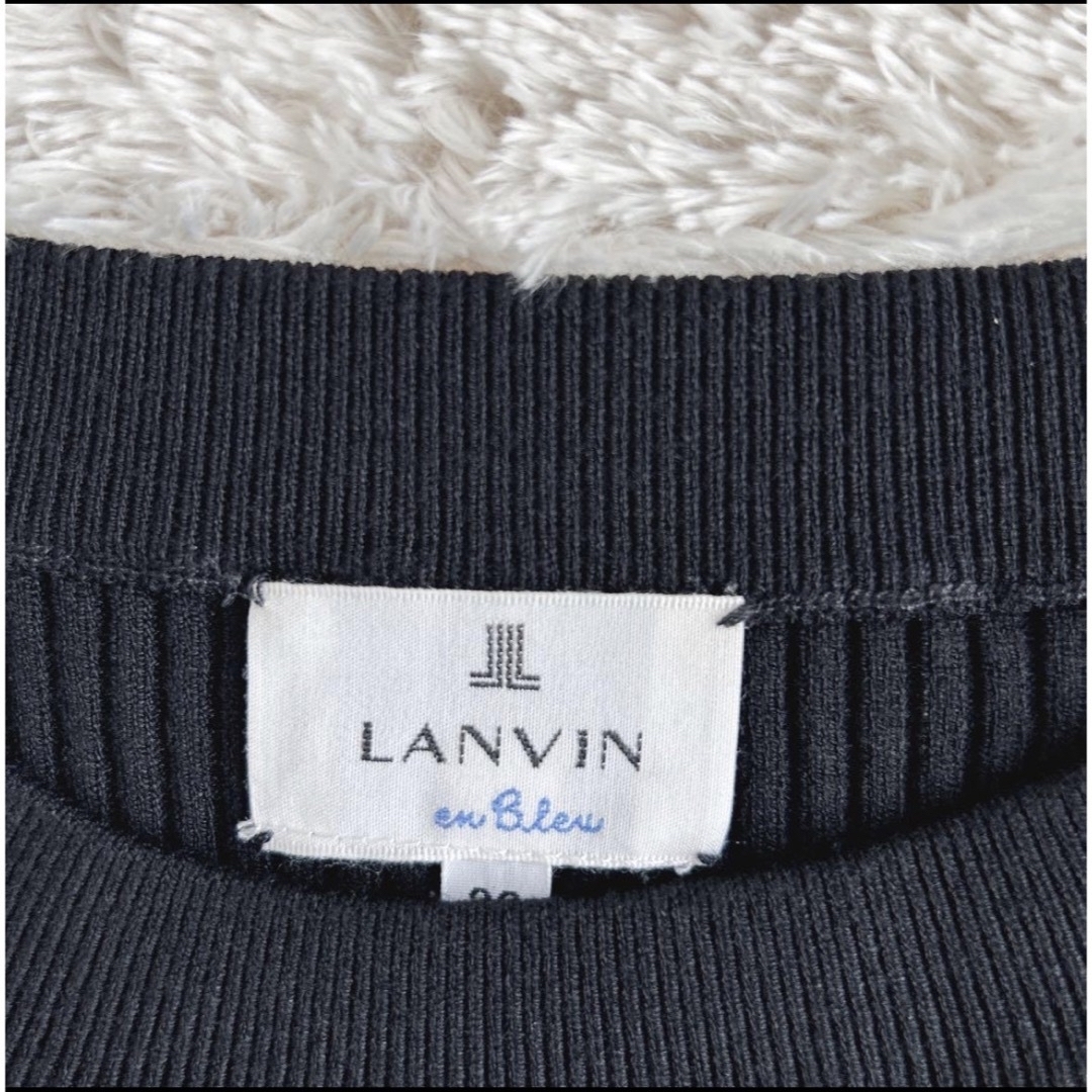 LANVIN en Bleu(ランバンオンブルー)の♦︎ランバンオンブルー♦︎LANVIN オ－ガンジースリーブニットワンピース38 レディースのワンピース(ロングワンピース/マキシワンピース)の商品写真