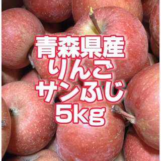【産地直送】青森県産りんご  家庭用  5kg(フルーツ)