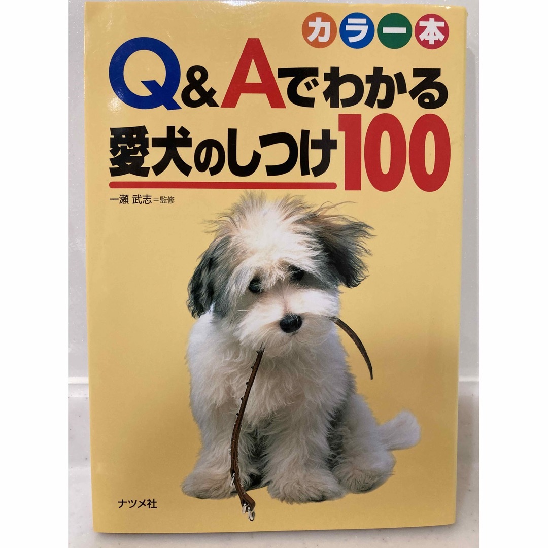 Ｑ＆Ａでわかる愛犬のしつけ１００ エンタメ/ホビーの本(住まい/暮らし/子育て)の商品写真
