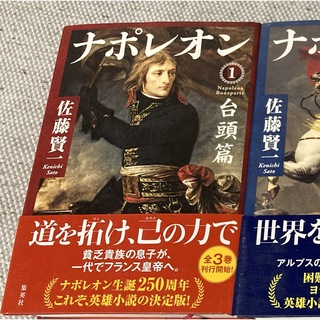 ナポレオン単行本3冊セット(文学/小説)