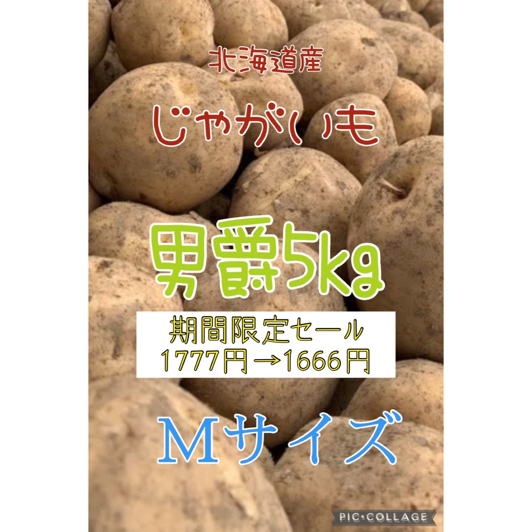 山中農園｜ラクマ　北海道産じゃがいも男爵5kgの通販　by