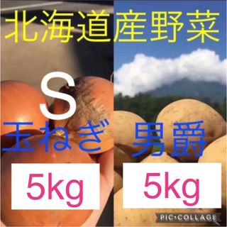 北海道産じゃがいも5kg玉ねぎ5kg(野菜)