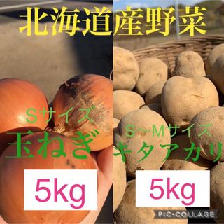 北海道産キタアカリ5kg玉ねぎ5kg(野菜)