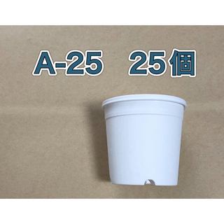《A-25》白 25個 2.5号 丸型 スリット鉢 プラ鉢 多肉植物(プランター)