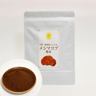 メシマコブ粉末100g 100%天然無添加 桑黄 野生 霊芝 サルノコシカケ(その他)