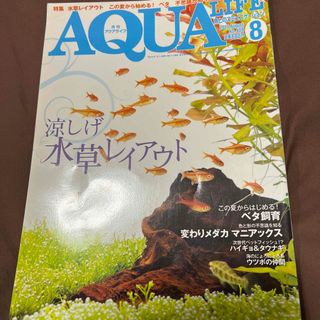 月刊 AQUA LIFE (アクアライフ) 2013年 08月号 [雑誌](その他)