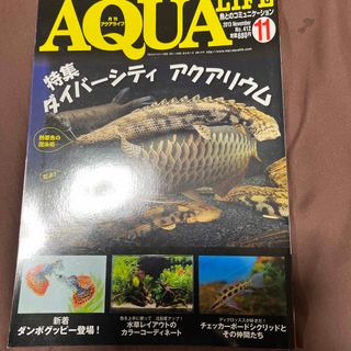 月刊 AQUA LIFE (アクアライフ) 2013年 11月号 [雑誌](その他)