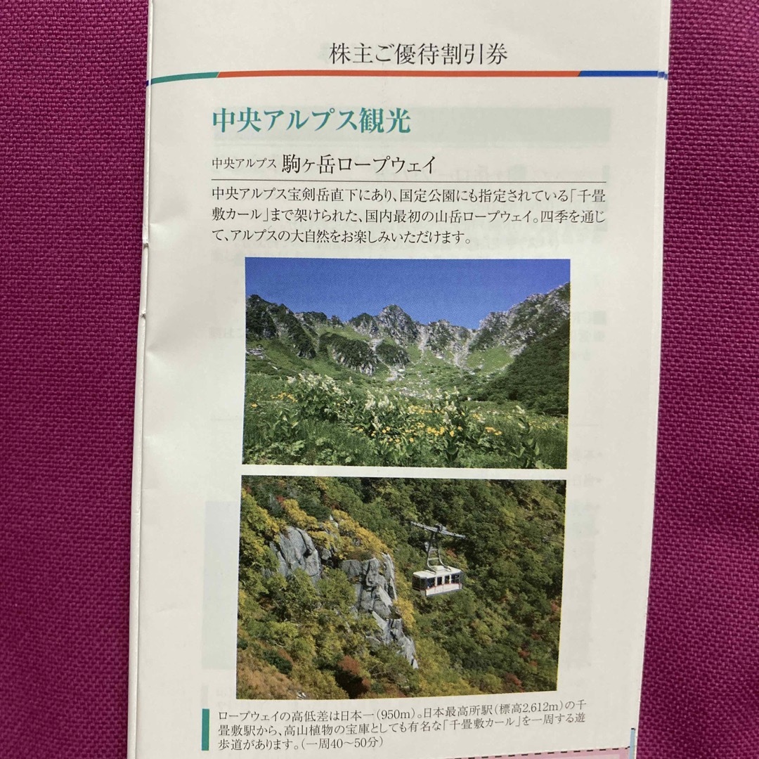 駒ヶ岳ロープウェイ運賃割引券　2枚 チケットの優待券/割引券(その他)の商品写真