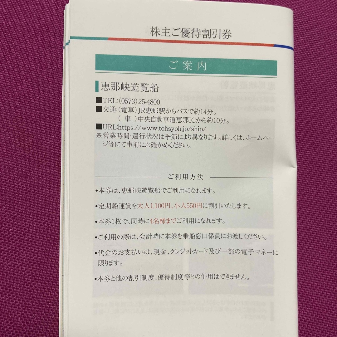 恵那峡遊覧船運賃割引券 2枚 チケットの優待券/割引券(その他)の商品写真