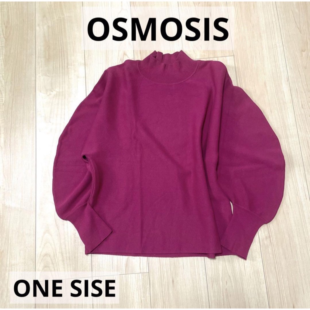 OSMOSIS(オズモーシス)のOSMOSIS 原色ニット　美品 レディースのトップス(ニット/セーター)の商品写真