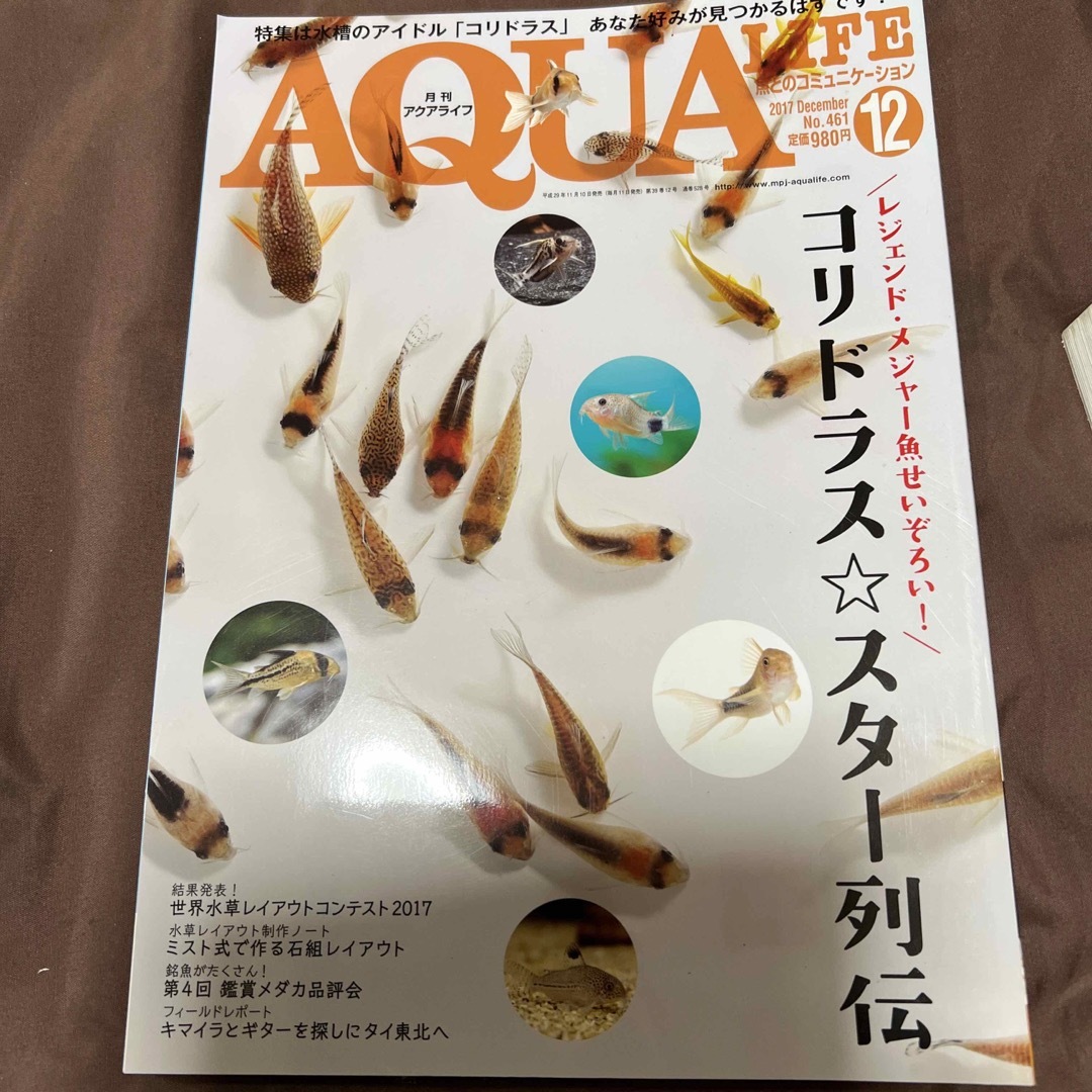2017年　shop｜ラクマ　月刊　LIFE　12月号　corax's　AQUA　by　(アクアライフ)　[雑誌]の通販