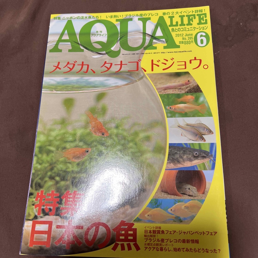 月刊 AQUA LIFE (アクアライフ) 2012年 06月号 [雑誌] エンタメ/ホビーの雑誌(その他)の商品写真