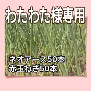 わたわた様専用•*¨*•.¸♬︎(野菜)