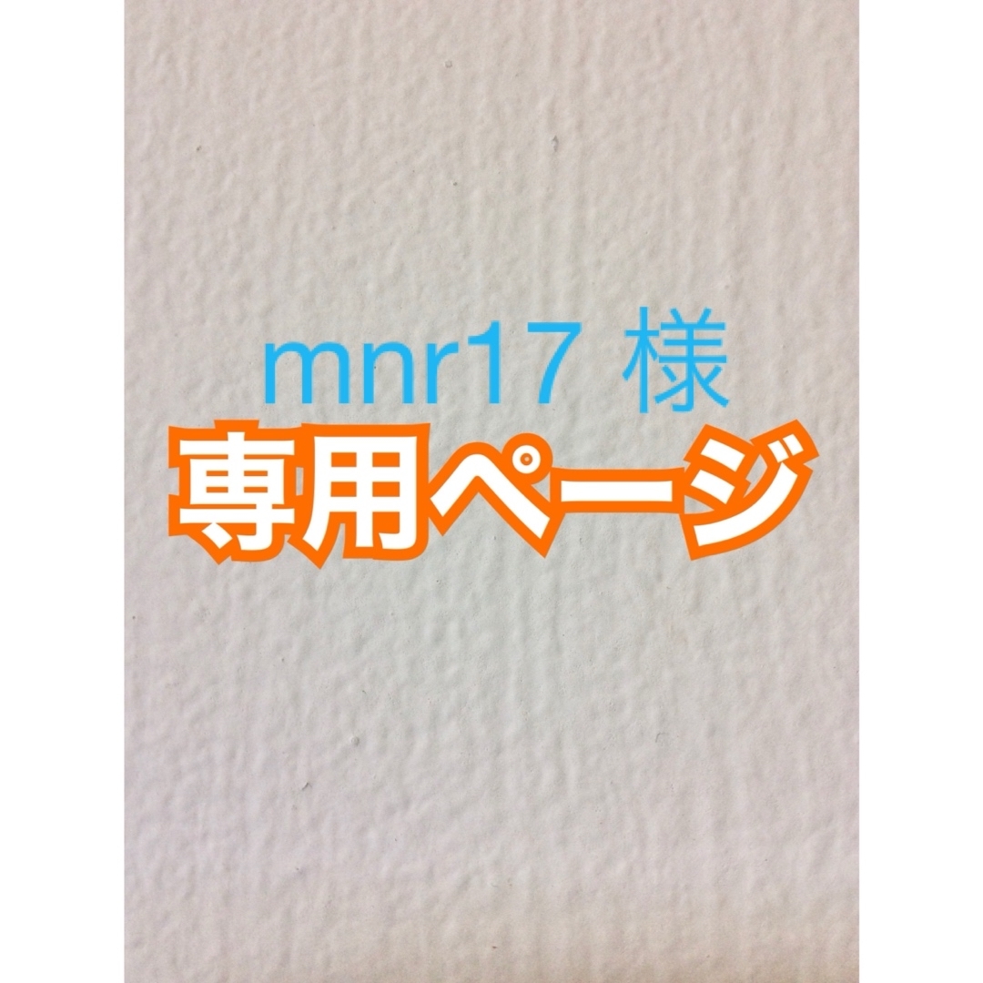 アイロンビーズ 合計 ３０００ピース【 日本郵便】 エンタメ/ホビーのおもちゃ/ぬいぐるみ(その他)の商品写真