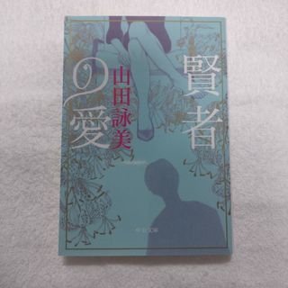 賢者の愛  山田詠美 文庫本(その他)