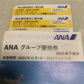 エーエヌエー(ゼンニッポンクウユ)(ANA(全日本空輸))のANA 全日空　株主優待券(その他)