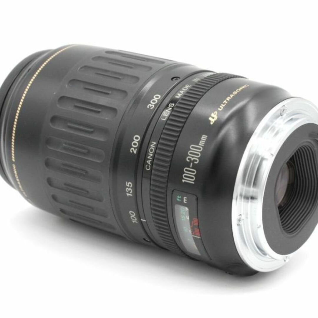 美品☆ Canon キャノン 超望遠レンズ EF 100-300mm USM