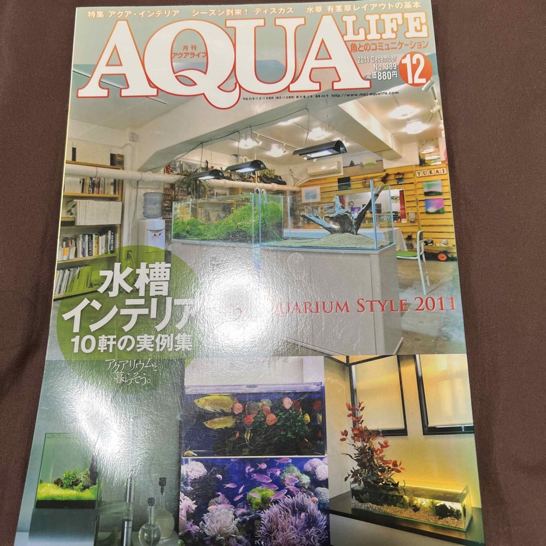 月刊 AQUA LIFE (アクアライフ) 2011年 12月号 [雑誌] エンタメ/ホビーの雑誌(その他)の商品写真