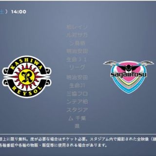 柏レイソル VS サガン鳥栖 J1 三協フロンテア柏スタジアム チケット2枚(サッカー)