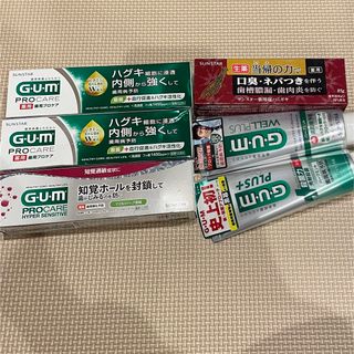 サンスター(SUNSTAR)の値下げ！サンスター　ガム　プロケア　ウェルプラス　当帰の力　歯磨き粉セット(歯磨き粉)