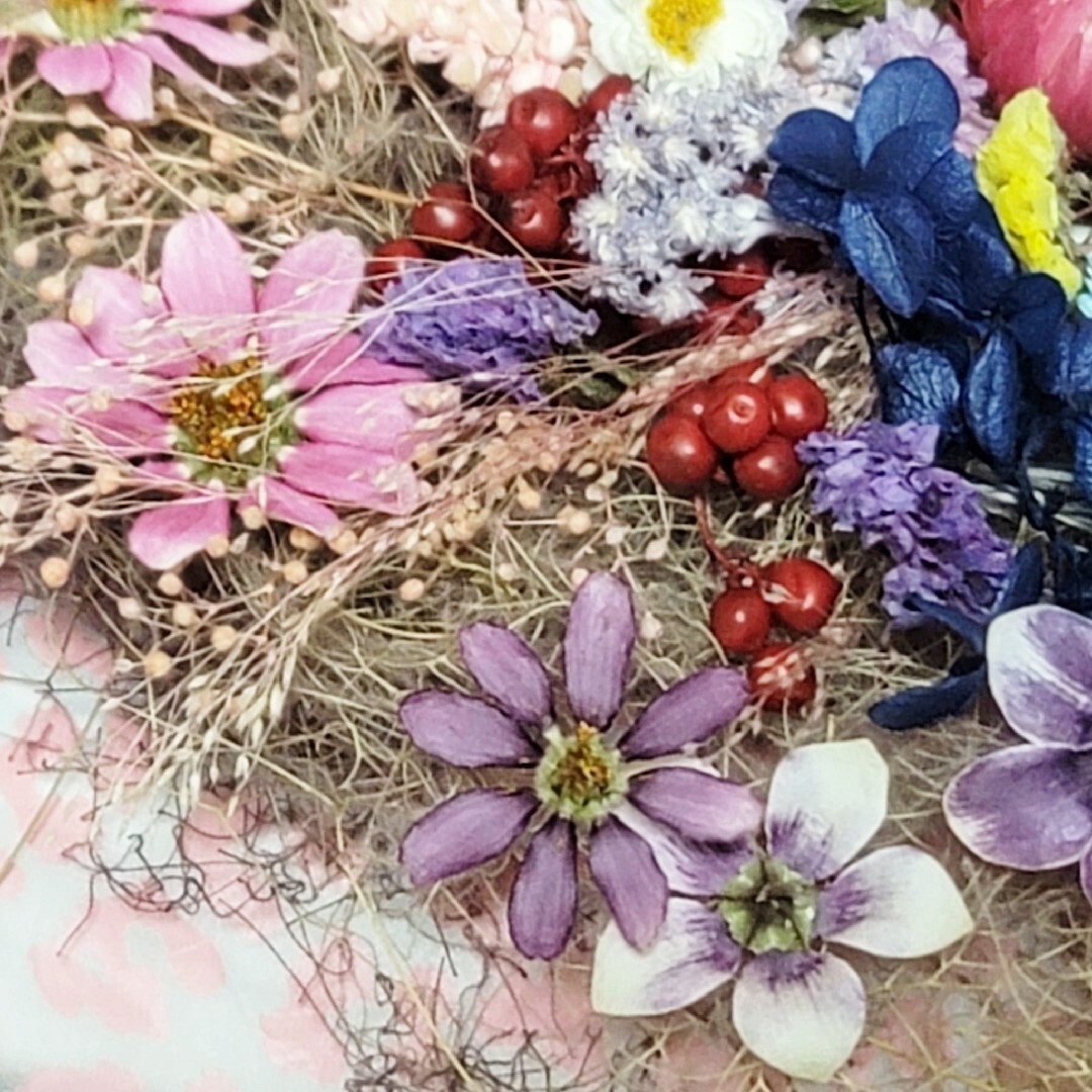 ドライフラワー花材(花色) ハンドメイドのフラワー/ガーデン(プリザーブドフラワー)の商品写真