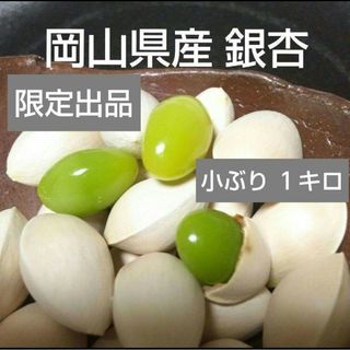 令和5年2023年岡山県産 銀杏 ぎんなん 小ぶり1kg 栽培期間中 農薬不使用(野菜)