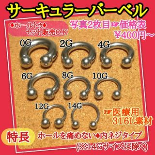 サーキュラー バーベル ピアス 0G(ピアス(片耳用))