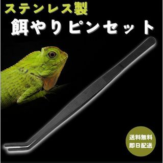 爬虫類ピンセット 餌やり・メンテナンス用 掴みやすいステンレス製(爬虫類/両生類用品)