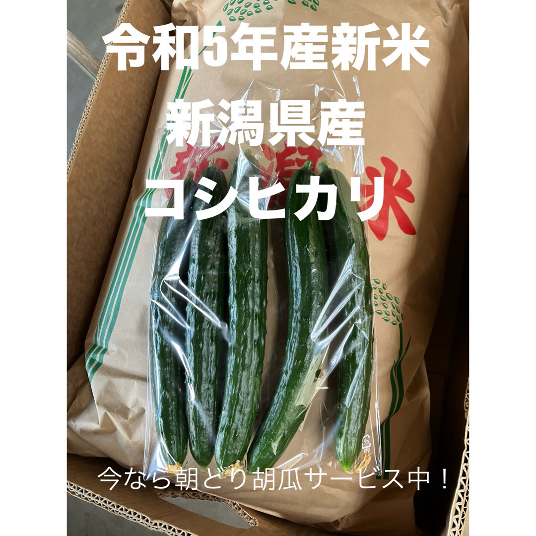 特別栽培新潟コシヒカリ、BL玄米30キロ、只今きゅうりサービス中 食品/飲料/酒の食品(米/穀物)の商品写真