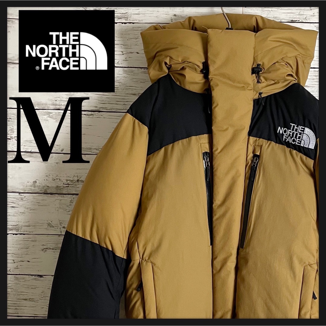 THE NORTH FACE - 【超絶人気デザイン】ノースフェイス バルトロライト
