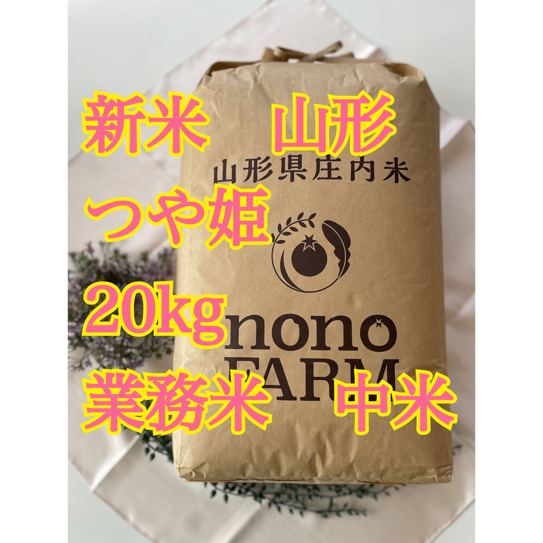 食品つや姫　20kg 中米　業務米　山形　特別栽培米　令和5年