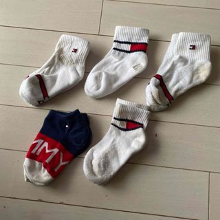 トミーヒルフィガー(TOMMY HILFIGER)のトミーヒルフィガー　キッズ　靴下　12〜14センチ　5足セット(靴下/タイツ)