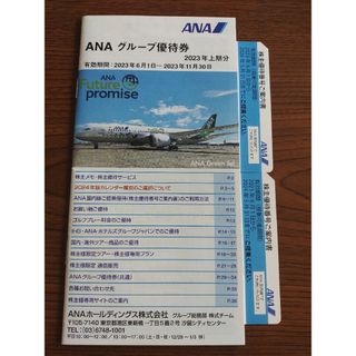 エーエヌエー(ゼンニッポンクウユ)(ANA(全日本空輸))のANA株主優待　２枚(その他)