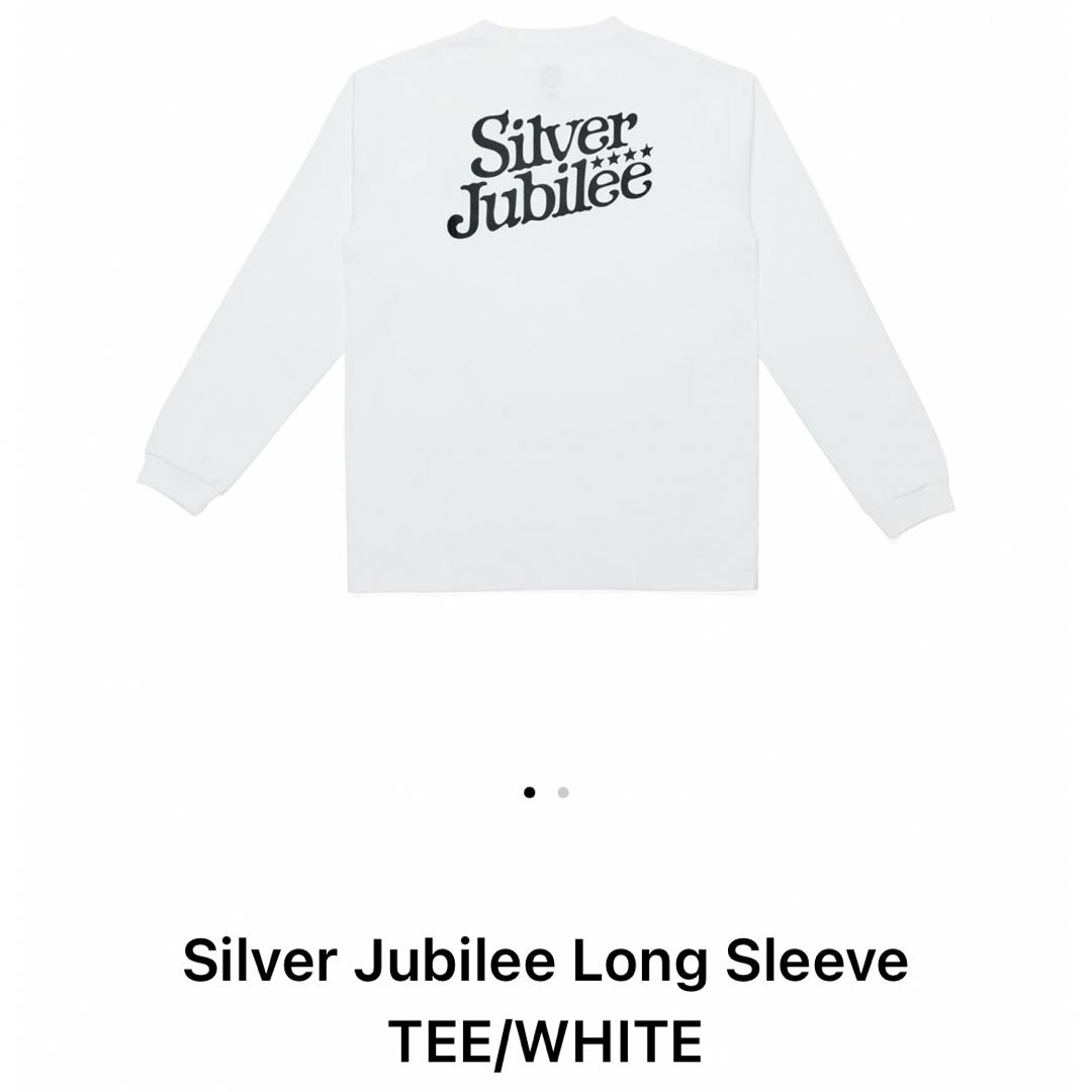 BUMP OF CHICKEN(バンプオブチキン)のバンプ オブ チキンSilver Jubilee Long Sleeve TEE エンタメ/ホビーのタレントグッズ(ミュージシャン)の商品写真