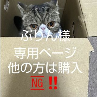 🐱ねこやまさん編みぐるみ(あみぐるみ)