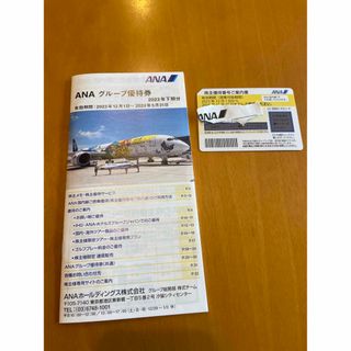 エーエヌエー(ゼンニッポンクウユ)(ANA(全日本空輸))のAna 株主優待(その他)