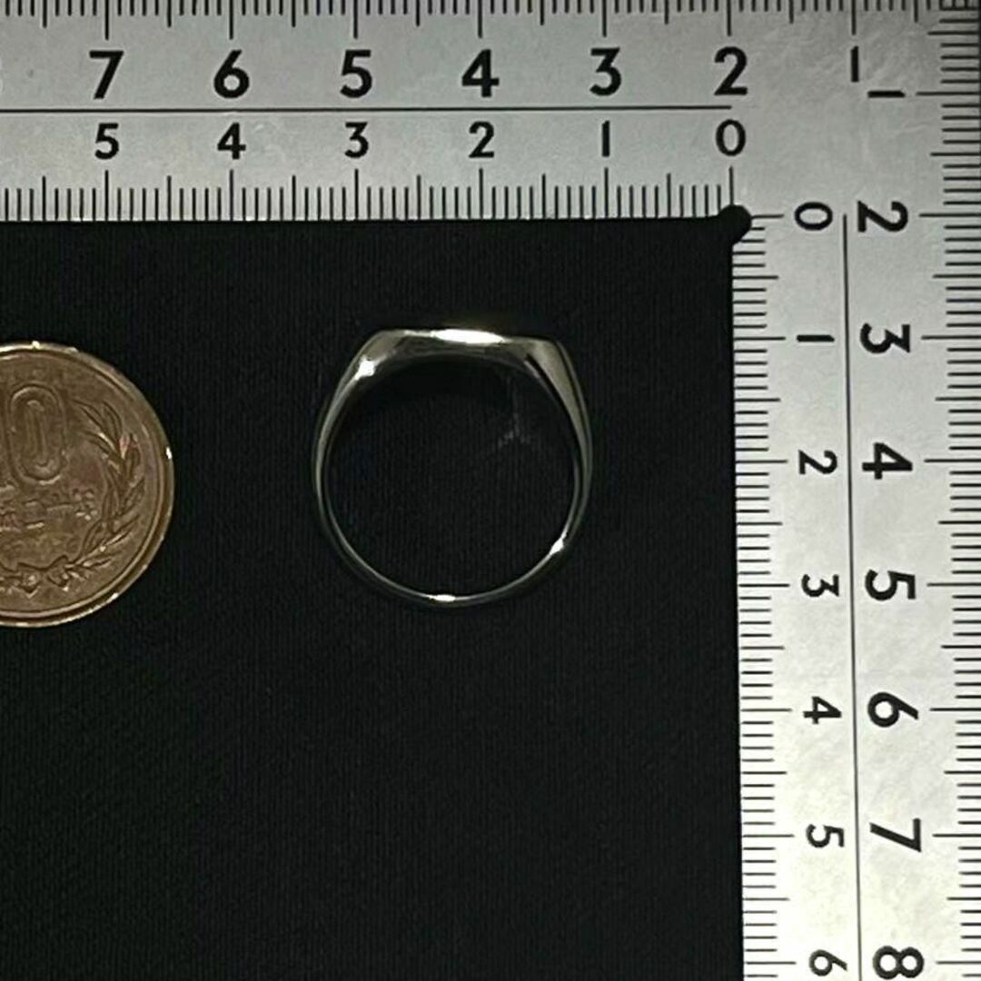 【１８号】３１６ステンレス　ニュージーランドアヴァロンシェルのシグネットリング② メンズのアクセサリー(リング(指輪))の商品写真
