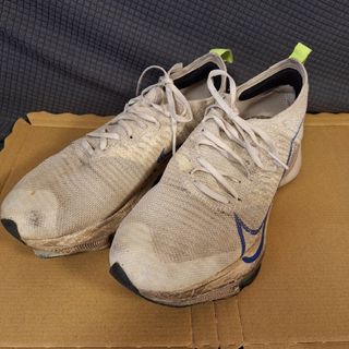 ナイキ(NIKE)のナイキ エアズームテンポネクスト% 25.0cm 25.0 25cm 25(スニーカー)