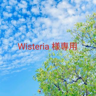 エチュードハウス(ETUDE HOUSE)のWisteria 樣専用(アイブロウペンシル)