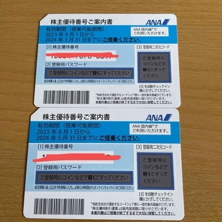 エーエヌエー(ゼンニッポンクウユ)(ANA(全日本空輸))の株主優待　ANA2枚(鉄道乗車券)