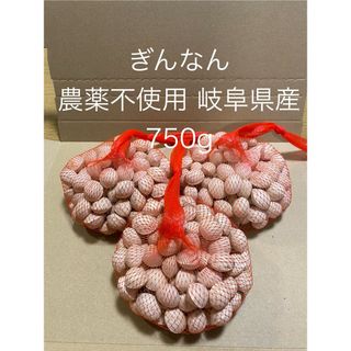 ぎんなん 農薬不使用 岐阜県産 750g(野菜)