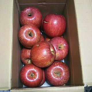 青森県産りんご、訳ありりんご、サンふじ、箱込み 約5キロ前後(フルーツ)