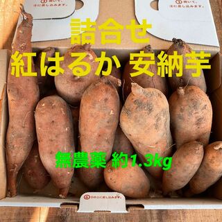 大山山麓栽培期間中農薬化成肥料不使用かぼちゃ2玉【送料込】