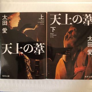 天上の葦 上•下　2冊セット(文学/小説)