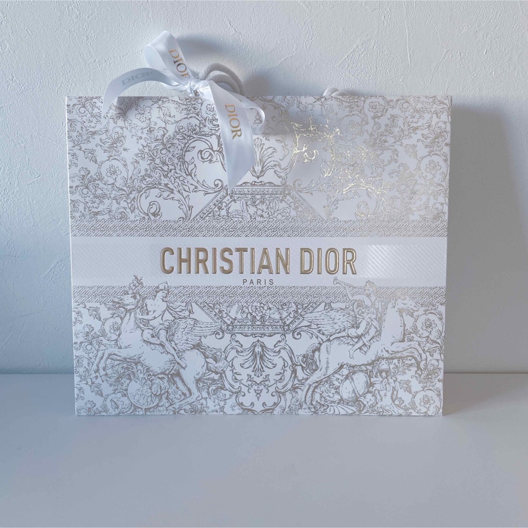 Christian Dior(クリスチャンディオール)のChristian Dior/ショップ袋大 インテリア/住まい/日用品のオフィス用品(ラッピング/包装)の商品写真