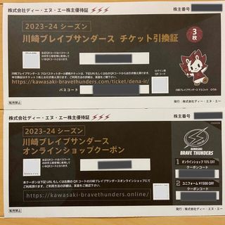 川崎ブレイブサンダース  2023-2024シーズン　チケット(バスケットボール)